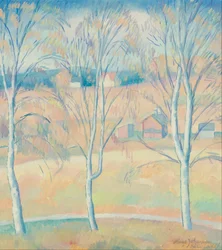 Spring Landscape Halsingland