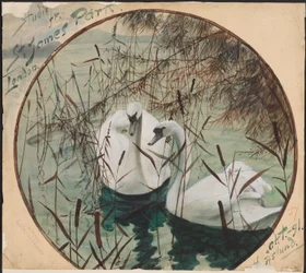 Swans in a Pond