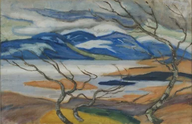 Torne Marsh in Spring