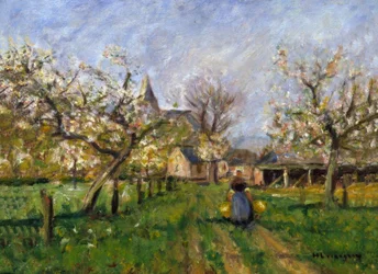 Fruit Blossom