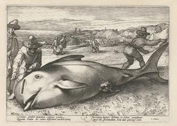 Two Men Measuring a Stranded Whale