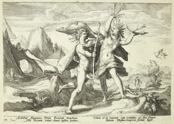 Daphne Transformed into a Laurel Tree