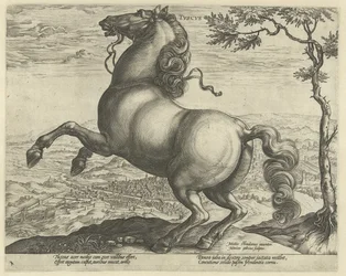 Horse from Tuscany (series title: Horse Breeds from the Royal Stables of Don Juan of Austria)