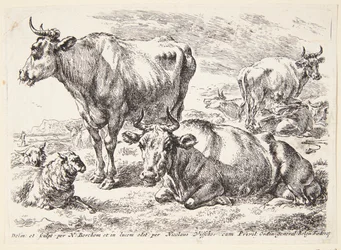 Portrait of a Member of the Out Family. Cornelis Out (?)