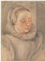 Portrait of a Young Woman
