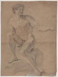 Male Model Study