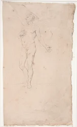 Male Model Study, Standing
