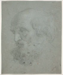 Bearded Man