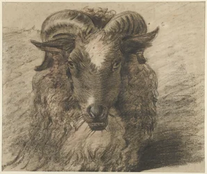 Head of a Ram