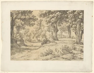 Forest Scene Tentamina Lithographica (series title) Italian Landscapes (series title)