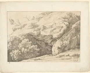 Rocks with Shrubs