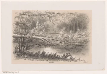 Fallen Tree After the Storm of May 28, 1860