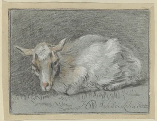 Lying Goat