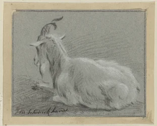 Lying Goat
