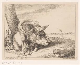 Lying Goat by Water (Various Animals)