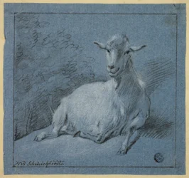 Shegoat
