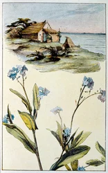 Illustration for 