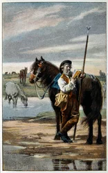 Illustration for 