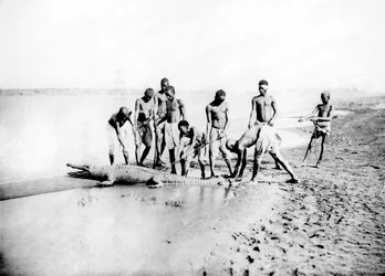 Hunting a Crocodile, Nubia, Egypt