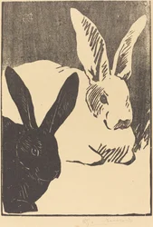 Rabbits