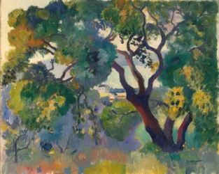Landscape Near St. Tropez