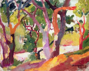 Trees