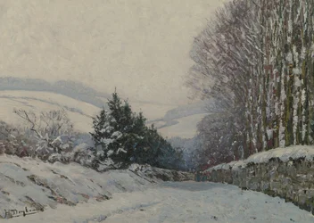 Winter Landscape