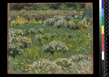 The Pond Garden, Hampton Court