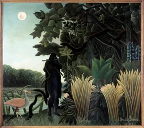 The Snake Charmer