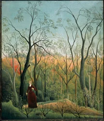 Walk in the Forest