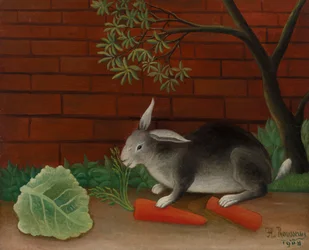 Rabbit