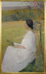 The Muse