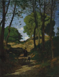 Fir Trees in Les Trembleaux, near Marlotte