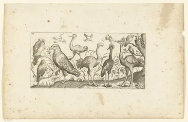 Twelve Birds