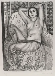 The Odalisque