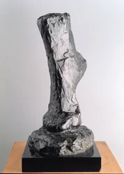Study of a Foot