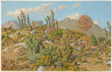 Plateaus of Barberaz
