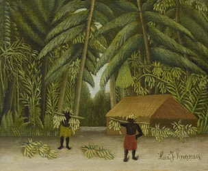 Banana Harvest