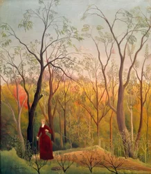 The Walk in the Forest