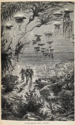Illustration for 