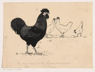 Chickens