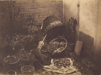 Still Life with Straw Baskets, Broom, Opened Sack of Potatoes and Potted Plants