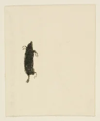 Tailpiece from Au Pied du Sinaï