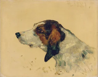 Hunting Dog, 1881