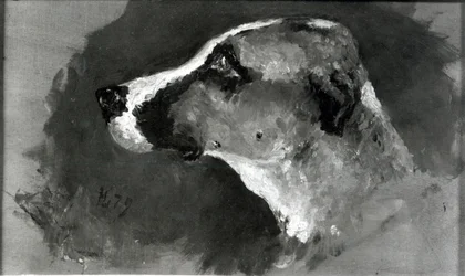 Head of a Dog with Short Ears