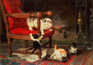 Playing with the Warmth of the Fire