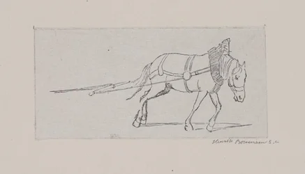 A Pulling Horse