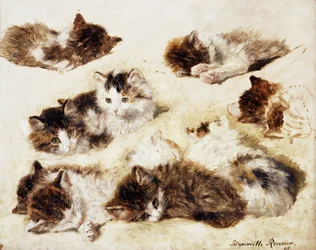A Study of Kittens