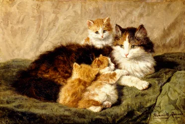 Contentment