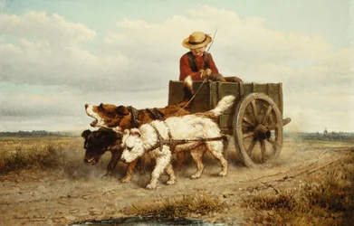 The Dog Cart